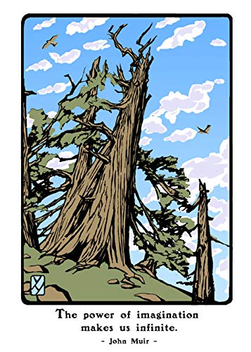 Preisvergleich Produktbild Bristlecone Pine: Boxed Set of 6 Cards