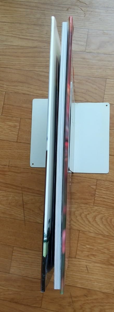 Amazon.co.jp: 奥菜恵 写真集 megnow 撮影木村晴 BOMB特別編集