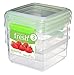 Sistema Fresh Collection Food Storage Containers, 5 Cup, 3 Pack, Clear/Lime Green