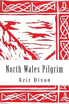 Paperback North Wales Pilgrim: a poetic journey: reflections on a pilgrimage from Holywell to Bardsey Book