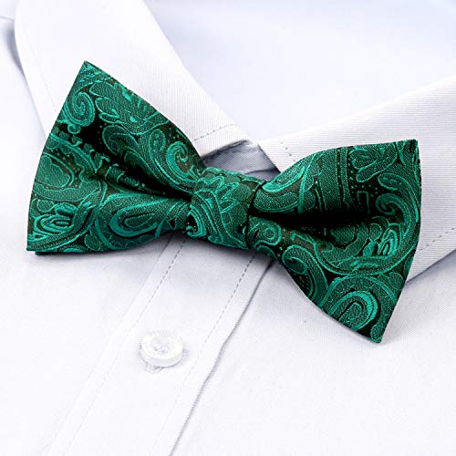 Alizeal Boys Adjustable Fashion Paisley Floral Strapped Pre-Tied Kids Bow Tie, Dark Green #TOP1