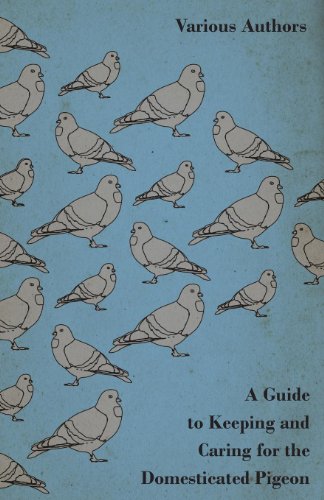 Amazon Com A Guide To Keeping And Caring For The Domesticated Pigeon Ebook Various Books