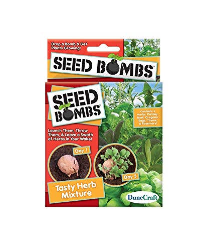 Semi Semi di GERMINAZIONE: Box by Seed Bombs Delizioso Mix di Erbe Prezzemolo Basilico Origano Salvia Timo e Rosmarino