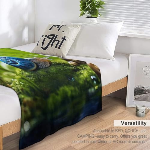 Couvertures pour canapé ou lit en flannel motif escargots grand plaid chaud lavable en machine