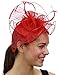 C.C Women's Elegant Cocktail Fashion Mesh Sinamay Fascinator Headband, Veil Floral Red