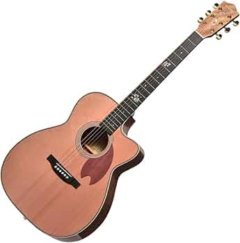 Saga アコースティックギター カッタウェイ　オール単板 Saga アコースティックギター カッタウェイ オール単板 Saga