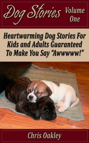 heartwarming dog stories