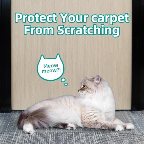 KHS 3.35Ft Plastic Carpet Protector for Doorway