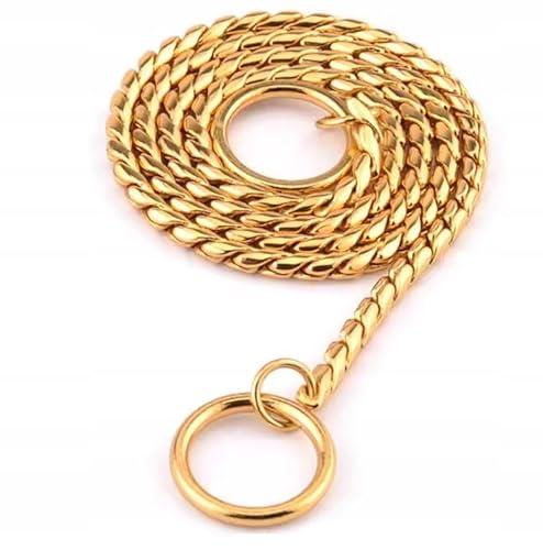 PetMix - Kettenhalsband Hund 4mm Zugstopp 50cm - Hundehalsband Silberne Hundetrainingshalsung - Trainingshalsband Hund - Robuste Metall-Kette - Effektive Kontrolle (Gold, 5mm*60 cm) PetMix - Kettenhalsband Hund 4mm Zugstopp 50cm - Hundehalsband Silberne Hundetrainingshalsung - Trainingshalsband Hund - Robuste Metall-Kette - Effektive Kontrolle (Gold, 5mm*60 cm)