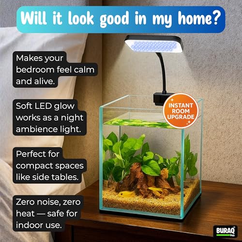 Image of Buraq Ultra Clear Aquarium Glass Fish Tank BL-C04 with WRGB Flat LED Light for Small Fishes