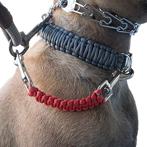Are Prong Collars Safe For Dogs