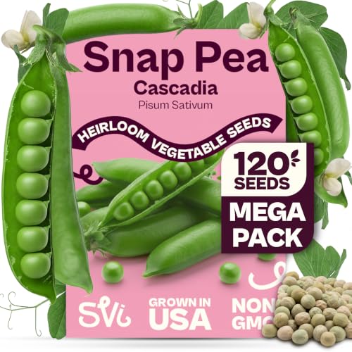 SVI 120 Cascadia Snap Pea Seeds (Pisum sativum) Sugar Snap Peas Sweet Peas Seed Packets Pea Snaps Garden Seed Pack Heirloom Vegetable Seeds Vegetable Garden Raised Beds Containers