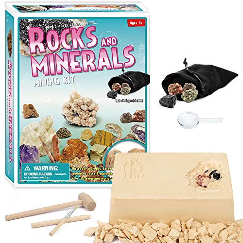 Xxtoys Rock Mineral Gems Dig Kit For Kids Dig Up 5 Rocks And Minerals Mining Kits Mineralogy Geology Science Gift Excavation Toys For Kids Buy Online In Japan At Desertcart Jp Productid 66711943