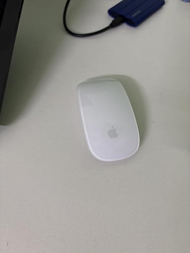 51FWapBm3PL._SY500_.jpg