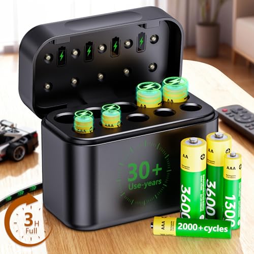 30 Years Long Life Rechargeable Batteries: 4 AA & 4 AAA