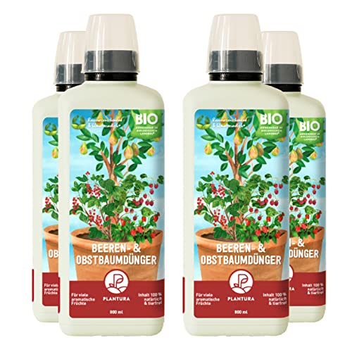 Plantura Bio-Beeren- & Obstbaumdünger, organischer Flüssigdünger, 3,2 L