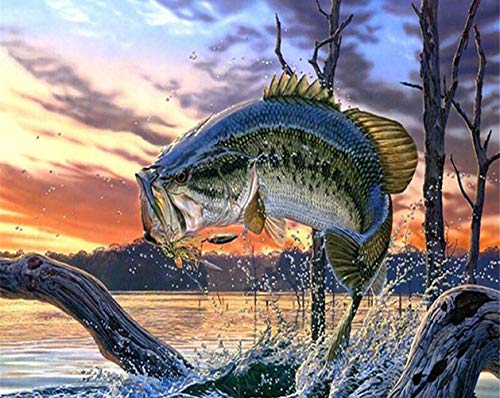 ABEUTY DIY Paint by Numbers for Adults Beginner -Flying Fish in The Lake Animal 16x20 inches Number Painting