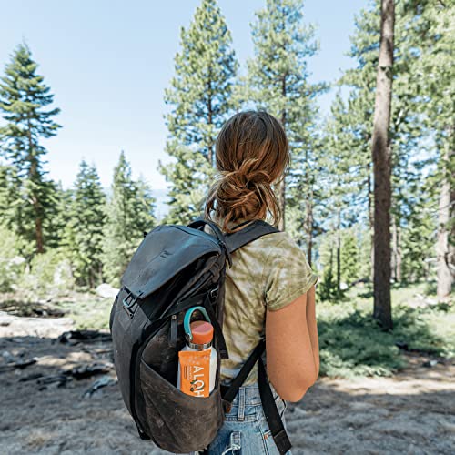 Aloha Organic Plant Based Protein Bars |Peanut Butter Chocolate Chip | 12 Count, 1.98Oz Bars | Vegan, Low Sugar, Gluten Free, Paleo, Low Carb, Non-Gmo, Stevia Free, Soy Free, No Sugar Alcohols #TOP3