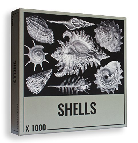 Jigsaw Puzzles 1000 Pieces: Cool, Premium Shells Jigsaw Puzzles for Grown Ups and Adults! by Poster