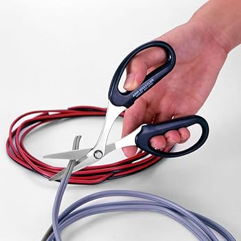 51FWpTAY0hL._AC_UF350,