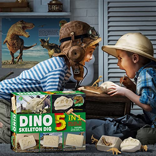 LAOJIA brinquedos de dinossauro Dino Eggs Dinosaur Treasures Dig Kit com 5 Bricks Digging Tools STEM