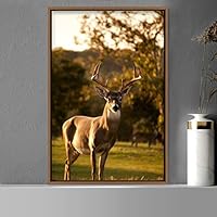 Framed Canvas Wall Art Deer Animals Deer Multicolor Photography Rustic Urban - 16x24 inches