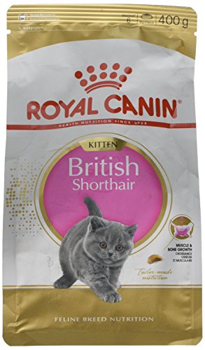 ROYAL CANIN Cibo Secco per Gatti British Shorthair Kitten - 400 gr