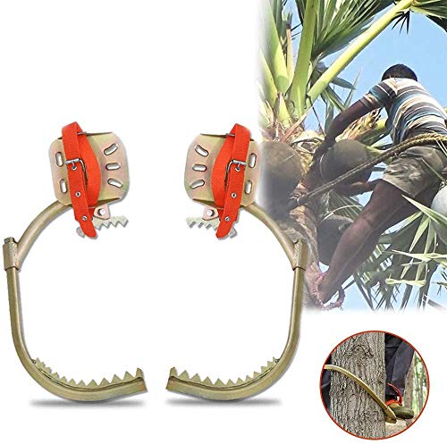 Crampons d'élagage antidérapants et réutilisables avec boucle de pied d'électricien