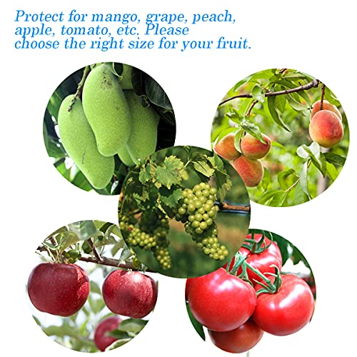 Miuezuth 50Pcs Fruit Protection Netting Bags For Fruit Trees, 16X11 Inch Garden Mesh Barrier Bags To Protect Plants From Pest Birds Squirrels, Fruit Cover Mesh Bag With Drawstring, Reusable, Green #TOP3