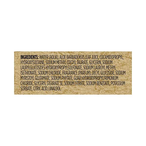 The-Right-To-Shower-Dignity-Body-Wash-Charcoal-and-Cotton-Blossom-Vegan-16-oz The Right to Shower Dignity Body Wash Charcoal and Cotton Blossom Vegan, Aloe Vera, 16 Ounce