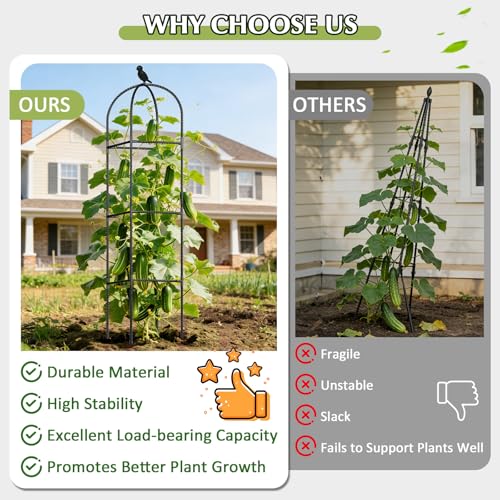 Image of Square Tomato Cages for Garden, 6.2 FT Cucumber Trellis for Flowers, Grape, Pea, Rose, Bean, Rustproof Plastic Coated Metal Plant Support for Potted Plants Indoor Outdoor - 2PC Obelisk Trellis