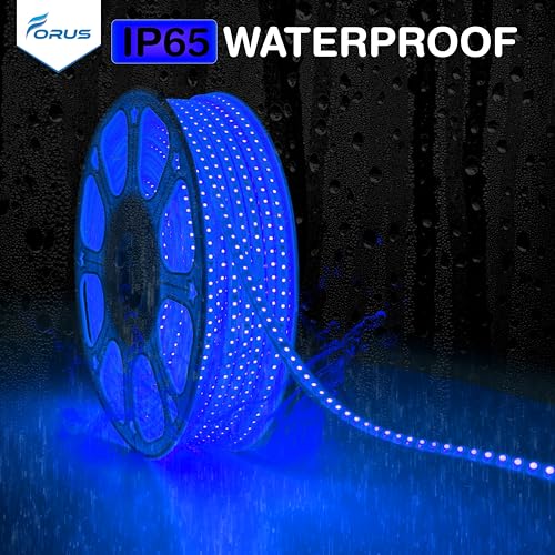 Image of Forus LED Rope Light 35 Meter 6 Month Warranty, Outdoor Waterproof Decorative Cove Lights for Ceiling, Balcony, Home Decor, Interior Decoration, Flexible Profile Light for Diwali, Christmas -Blue
