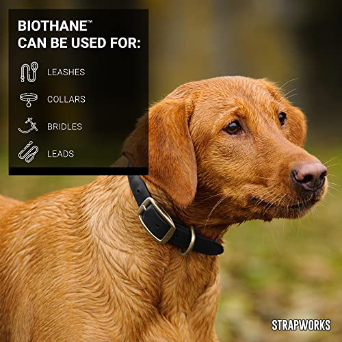 Strapworks Biothane Beta Series Coated Webbing, 1 Inch X 5 Yards, Black #TOP2