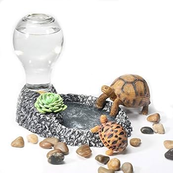 爬虫類　水 エサ入れ　22 Amazon | 爬虫類 水入れ 餌入れ 食器 餌 自動給水器 エサ入れ エサ皿