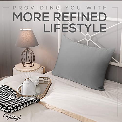 VIBRIYL 19 Momme Silk Pillowcase, Premium Quality 100% Mulberry Silk Pillowcase Hair and Skin with Hidden Zipper - Image 2