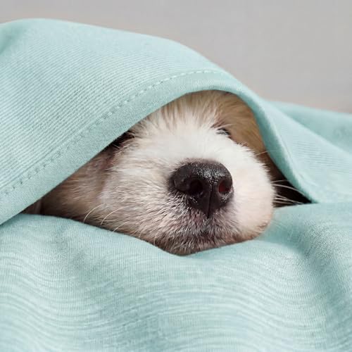 Image of Bedsure Green Cooling Blanket for Hot Sleepers - Summer Cold Throw Blanket for Bed, Arc-Chill Lightweight Summer Bedding, Cool Thin Ice Cold Cooled Throws with Rayon Derived from Bamboo, 50x70