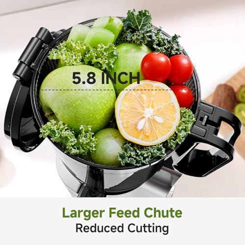 Image of AMZCHEF Cold Press Juicer with 5.8 inch Large Feed Chute, Slow Masticating Juicer for Whole Fruits & Vegetables, 3-Layer Strainer, Copper Motor, High Juice Yield, Easy to Clean, Silver