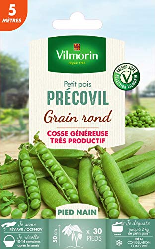 Vilmorin - Petit Pois PRECOVIL Grain Rond ( 5 mètres )