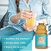 Ginger Soother Lemon & Honey Gingerade – Digestive... #3