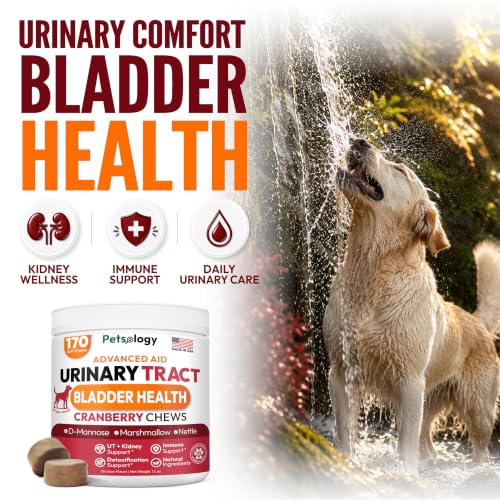 Image of Dog UTI Treatment - 170 Cranberry Chews for Dogs - Urinary Tract Infection