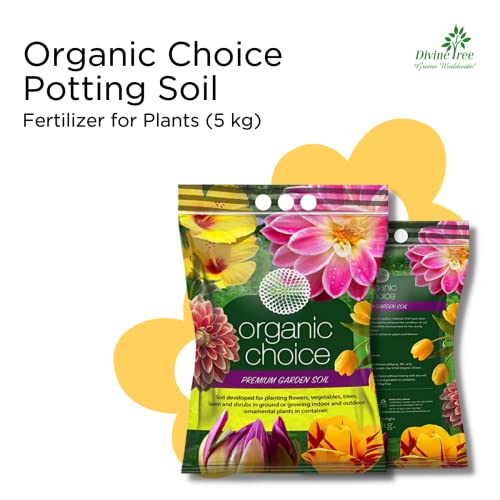 Image of DIVINE TREE Organic Choice Potting Soil Mix 10KG | Ready to Use Potting Soil & Soil Mix for Plants | Cocopeat Red Soil Cow Manure Blend | for Indoor Plants, Outdoor Pots, Vegetables & Home Gardening