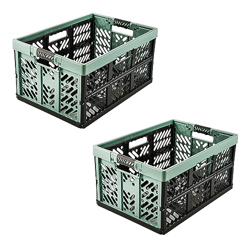 keeeper 2x Stabile Profi-Klappboxen mit Soft-Touch Griffen 45 l Ben Nordic Green (Grün)