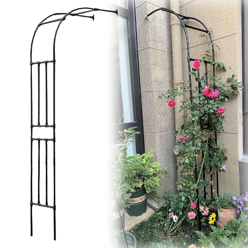 Arche de rose en métal en demi-arc pour plantes grimpantes, tonnelle de mariage et terrasse, treillis résistant aux intempéries, support de jardin intérieur/extérieur, noir, 120 cm de large x 240 cm