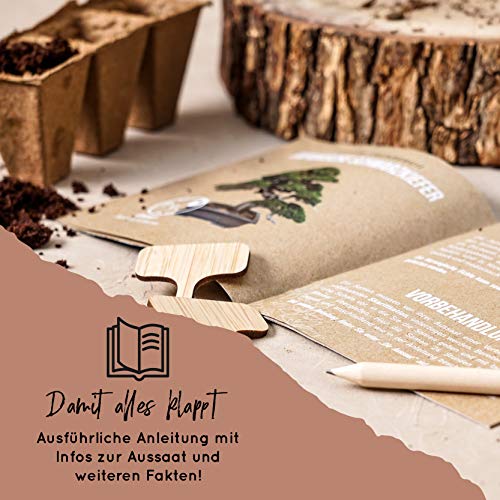10 Bonsai Samen aus 5 Kontinenten I Exotische Baum Samen für deinen einzigartigen Bonsai-Baum I Starter Kit für Anfänger und Pflanzen Verrückte I Unser Bonsai Set als besondere Geschenkidee