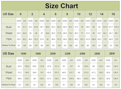 PHILIZLE Plus Deep V Neck Sequin Floral Lace Chiffon Sleeveless Formal Party Maxi Dress4