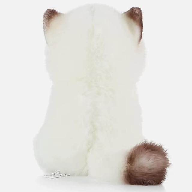 Foto 5 de 6 de lilizzhoumax Gato Siames Peluche 23cm/9” Lindas muñecas de Relleno de roedores