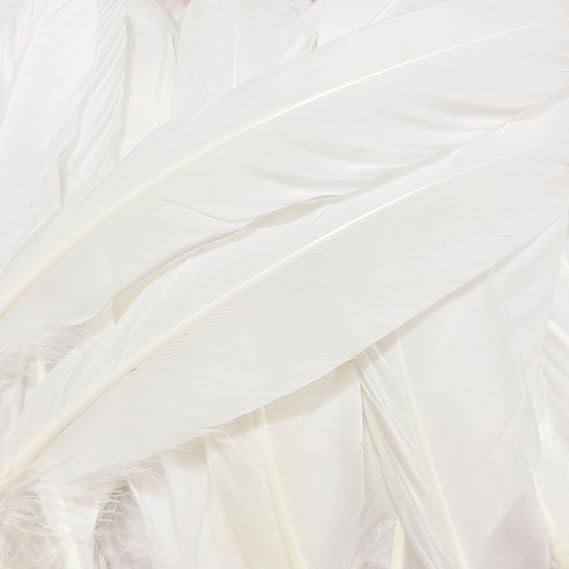 White Feathers,Natural Big Long Goose Feather,8-10 inch (21-25cm),Large Size Bilateral Feathers,Left and Right Wings for Crafts,Bulk 24pcs (Natural White-1)