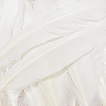 White Feathers,Natural Big Long Goose Feather,8-10 inch (21-25cm),Large Size Bilateral Feathers,Left and Right Wings for Crafts,Bulk 24pcs (Natural White-1)
