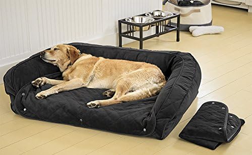 orvis memory foam dog bed