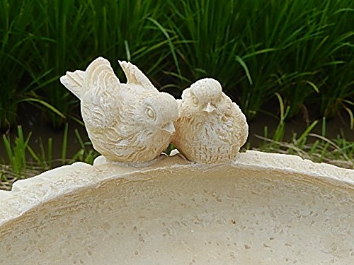 Amazon.co.jp: バードバス置物 ラージフィダーオーナメント